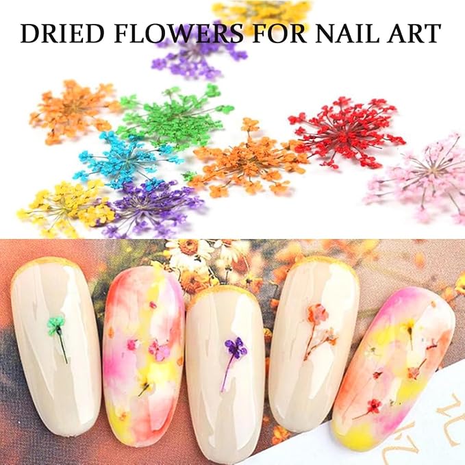2 Boxes 3D Real Dried Flowers for Nail Art Colorful Mini Natural Gypsophila | - Image 6