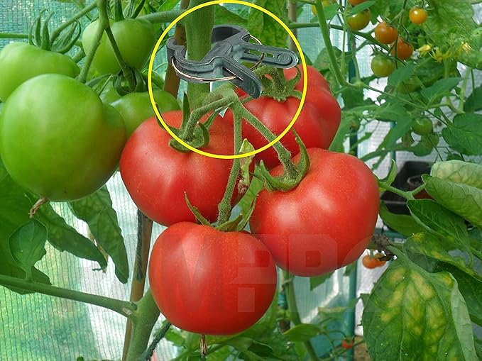Ram-Pro 20 Piece Green Gentle Gardening Plant & Flower Lever Loop Gripper Clips - Image 9
