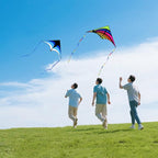Mint's Colorful Life Delta Kite - Image 6