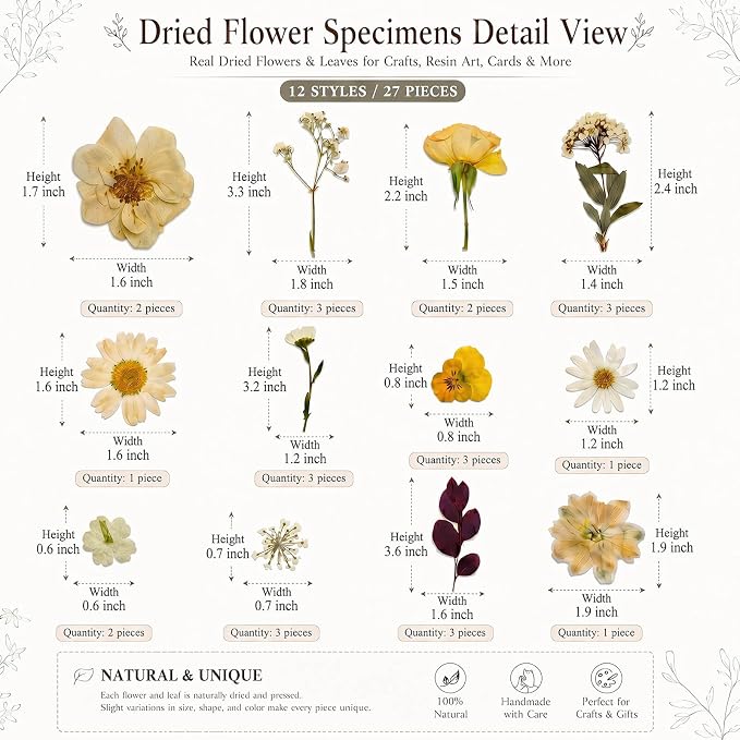 LUXEEASE 100P Vintage Warm Tone Dried Pressed Flowers | Cream caramel yellow - Image 6