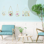 Pressed Flower Frames, Wall Hanging Double Glass Picture Frames - Image 3