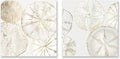 2 Pieces Coastal Wall Art Sea Shell Sand Dollar Painting Modern Abstract Gold by JAPOART