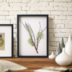 4x6 Small Shadow Box Frame Display Case, Display Case Box - Image 3