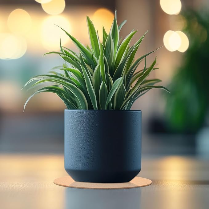 Boao 6 Pcs 12 Inch Large Cork Plant Coaster Round Cork Mat Trivet Absorbent - Image 4