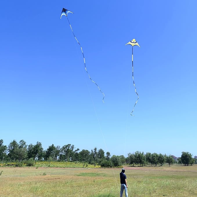 Large Single Line Beach Kite for Adults - Image 6