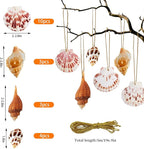 20 PCS Seashells Hanging Ornaments Natural Shells Decorations Beach Ocean - Image 3