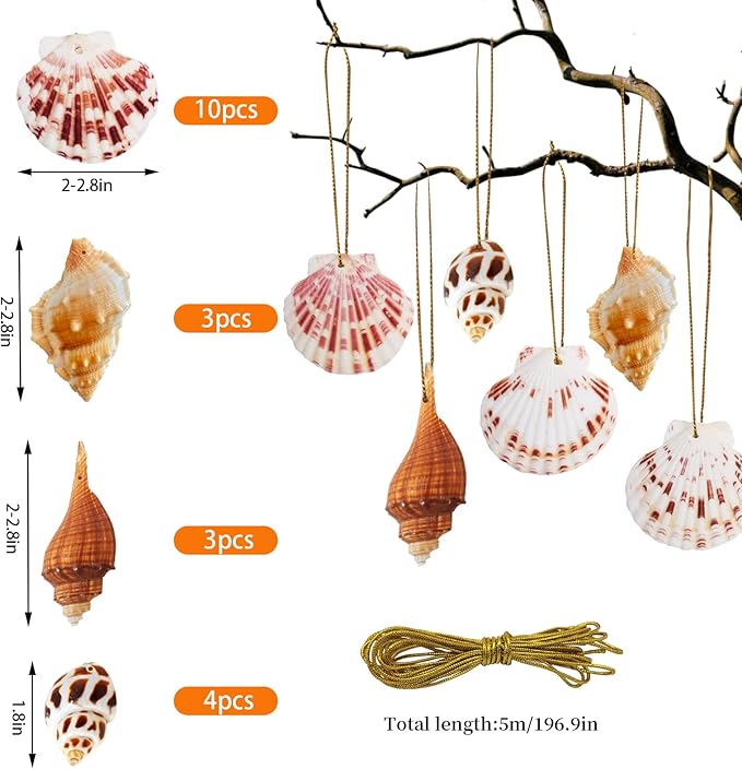 20 PCS Seashells Hanging Ornaments Natural Shells Decorations Beach Ocean - Image 3