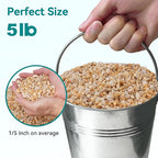 5 lbs Coarse Sand for Plants, 1/5 Inch Horticultural Sand for Vases, Fish Tank - Image 2