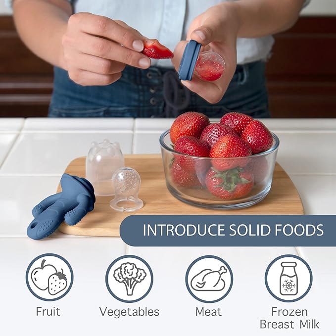 Little Twig Baby Fruit Feeder Pacifier Teether | Food Freezer Tray with Lid | BPA Free Silicone Freezable Teether | Feeding Set for Breast Milk Ice Cubes, Baby Food, Fruit Purees (Steel Blue)