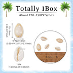 Pandahall 120-150pcs/box White Natural Spiral Shell Beads Sea Shells Beach - Image 6