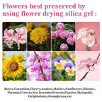 Sukh Silica Gel Flower Drying - Image 6
