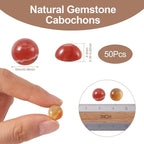 FASHEWELRY 50Pcs Natural Red Agate Cabochons Flat Back Gemstone Cabochons Half - Image 5