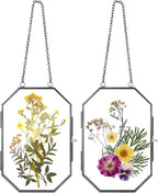 Qunclay 2 Pcs Double Glass Frame by Qunclay
