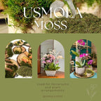 USMOLA Fake Green Moss for Potted Plants, 4OZ Artificial Moss for DIY Crafts - Image 6
