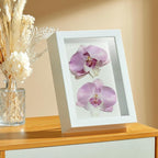 6x8 Small Shadow Box Picture Frame - Image 7