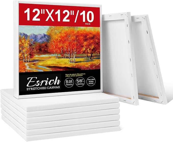 ESRICH Stretched Canvas for Painting 12 x 12 Inch, 10 Pack Blank Canvas -5/8 by ESRICH