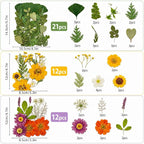 181 pcs Dried Flowers for Resin, Natural Flowers and Leaves Kit - Image 3
