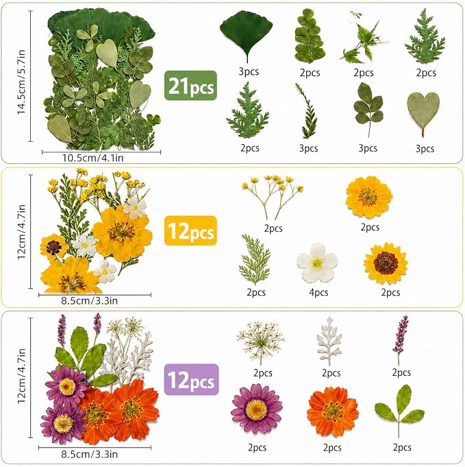 181 pcs Dried Flowers for Resin, Natural Flowers and Leaves Kit - Image 3