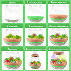 JOYEEMAX Dinosaur Light-Up Terrarium Kit - Image 4