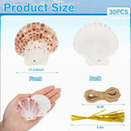 SINKOO 30PCS Scallop Shells, Natural Seashells 1.7"-2.6" - Image 2