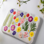 30Pcs Dried Pressed Flowers for Resin DIY Art Crafts Natural Dry Floral Daisy - Image 4