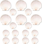 20PCS Natural Scallop Shells for Crafts & Baking by PremiumYardSignsJoyfulPartyEssentialsForEverysingleHome
