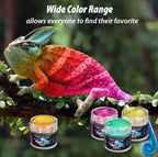 BALTIC DAY - Chameleon Mica Powder, 20 x 5g Jars of Color Shift Mica Powder Set - Image 5