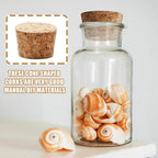 Uenhoy 30 Pcs Soft Wood Corks 6 Size, Wooden Tapered Cork Plugs Wine Bottle - Image 6
