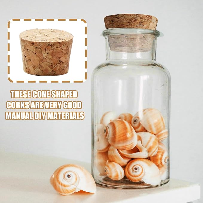 Uenhoy 30 Pcs Soft Wood Corks 6 Size, Wooden Tapered Cork Plugs Wine Bottle - Image 6