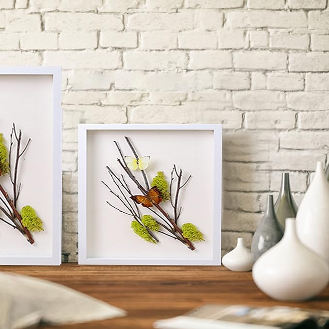 12x12 Shadow Box Frame Display Case - Image 3
