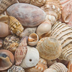 BEACON Sea Shell Glue for Creating and Decorating - Image 6