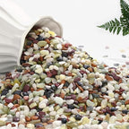 NUPICK 12 lbs Pebbles for Indoor Plants, 3/8 Inch Pea Gravel for Fish Tank by CreateAmazingChoice