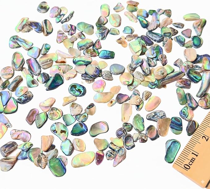 Abalone Shell Slices, Polished Abalone Slices - Image 3