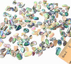 Abalone Shell Slices, Polished Abalone Slices - Image 3