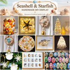 JSPYFITS Sea Shells Mixed Beach Seashells 20 Kinds, 1.5"-5.5" Various Sizes - Image 5