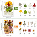 163 pcs Dried Flowers for Resin, Natural Flowers and Leaves Kit - Image 2