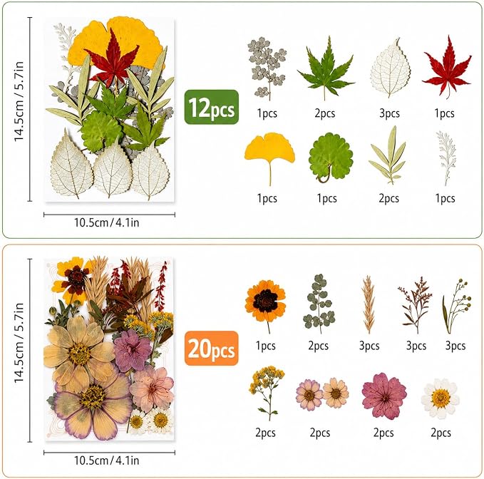163 pcs Dried Flowers for Resin, Natural Flowers and Leaves Kit - Image 2