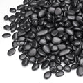 Pulovin 10 lbs Black Pebbles for Indoor Plants, 3/8" Plant Rocks for Pots Indoor by GardenSteward