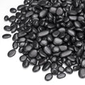 Pulovin 2.5 lbs Black Pebbles for Indoor Plants, 3/8" Plant Rocks for Pots by GardenSteward