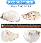 QEQEKAKA 30PCS Oyster Shells Flat & Concave 5"-6" Extra Large Oyster Shells - Image 3