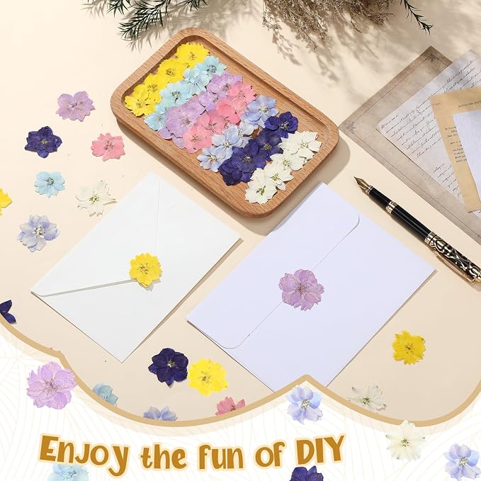 Woanger 100 pcs Dried Pressed Flowers Small Dry Flowers Real Natural Resin - Image 5