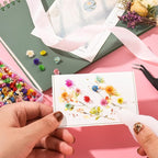 420Pcs Dried Flower for Crafts, Mini Dried Flowers for Resin, Tiny Natural Real - Image 7