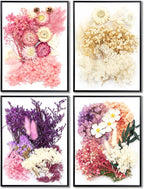 Vignee Real Dried Pressed Leaf Flowers-Multiple Colorful Pressed Flowers Daisies - Image 6