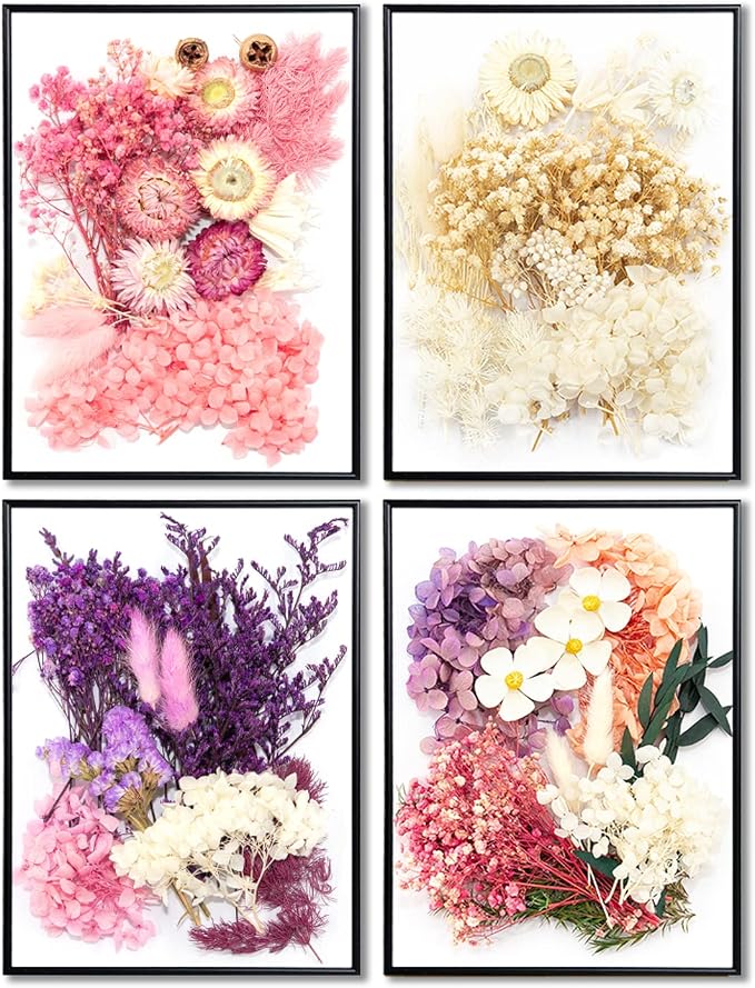 Vignee Real Dried Pressed Leaf Flowers-Multiple Colorful Pressed Flowers Daisies - Image 6
