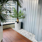FANTIAN 10 lbs White Rocks for Landscaping, 1-2 Inch Small Pebbles for Indoor - Image 6