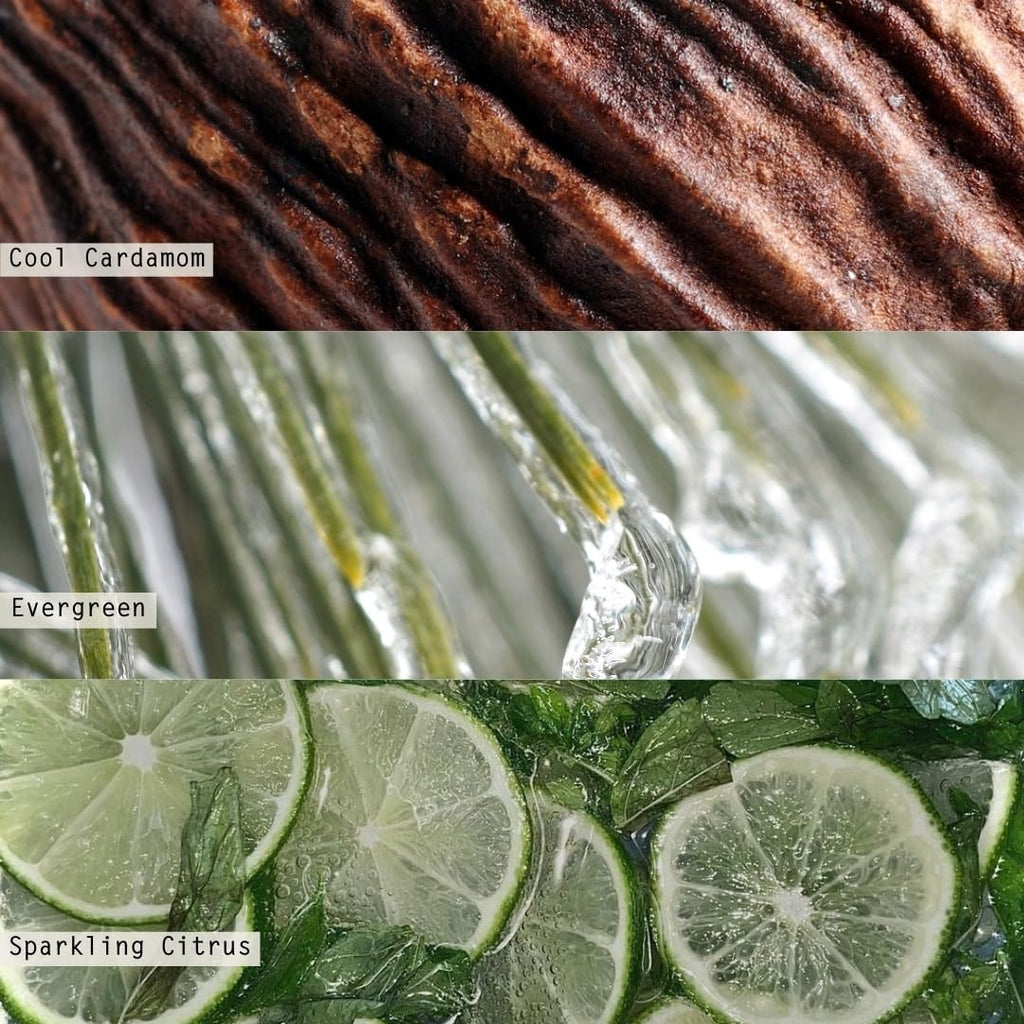 ILLUME Refillable Boxed Glass Candle, Winter White