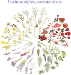 543PCS，70 Sheets Natural Flower Stickers - Image 5