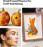 Dried Flowers, Resiners 100Pcs Pressed Flowers - Image 9