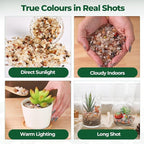 T4U Crystal Rocks for Aquarium, Carnelian Chips Pebbles for Plants 1 lb | - Image 8