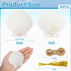 16PCS Natural Sea Shells 2.5"-3.5" Perforation Scallop Shells - Image 3